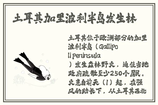 久久精品不卡一区二区三区